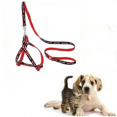 Laisse de poitrine pour chien réglable pour petits et moyens chiens